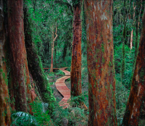 Captura de pantalla 2023-11-08 a la(s) 09.13.08