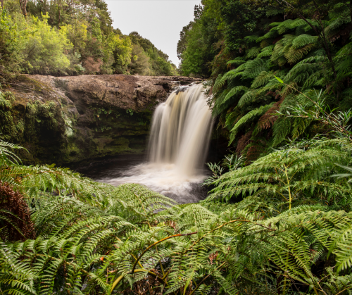 Captura de pantalla 2023-11-08 a la(s) 09.17.24
