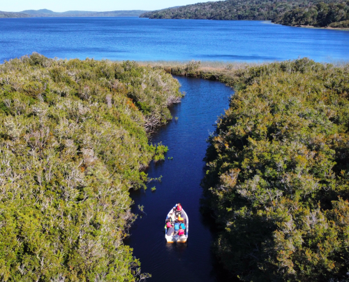 Captura de pantalla 2023-11-08 a la(s) 09.18.46