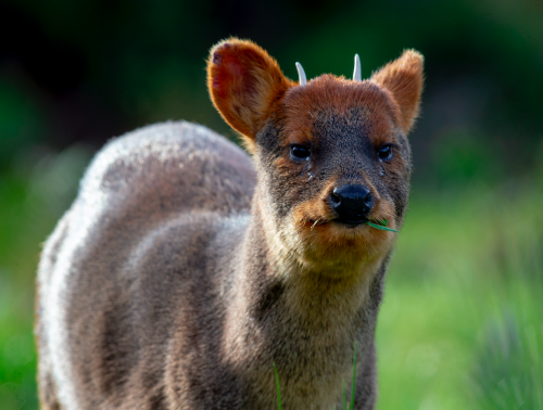 Captura de pantalla 2023-11-08 a la(s) 09.19.08