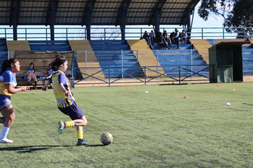 Futsal Media